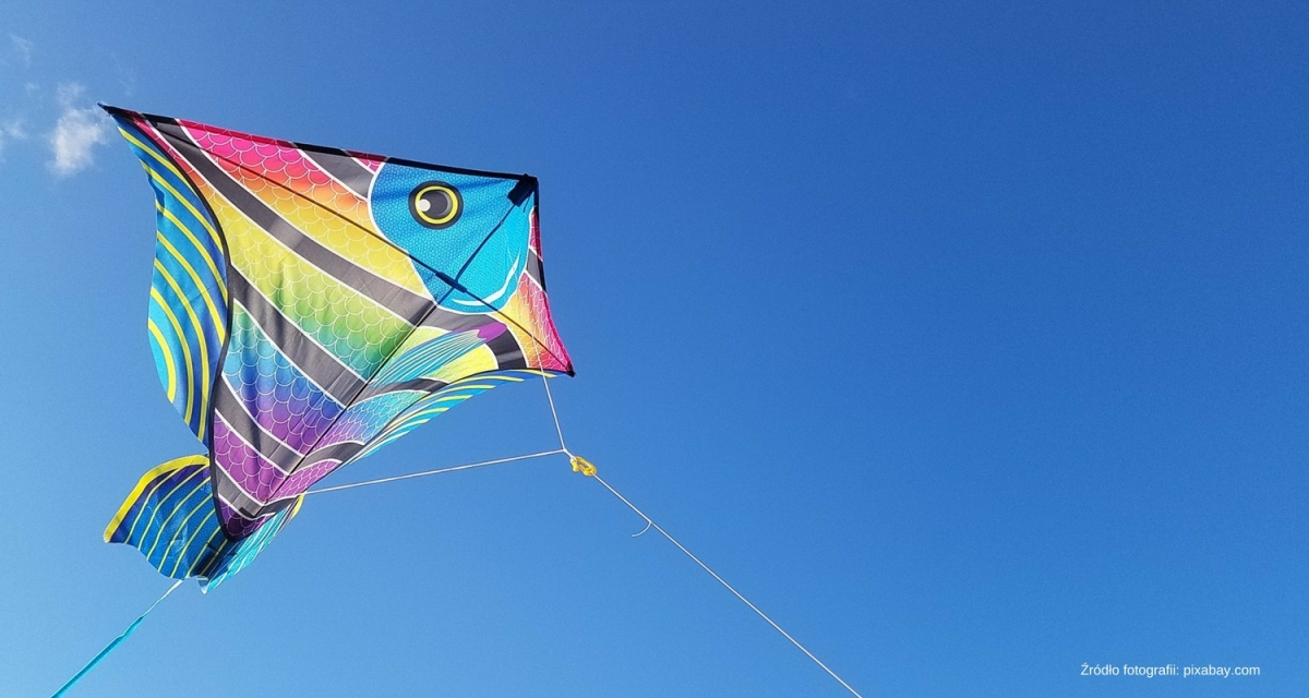 Kite Party 2017